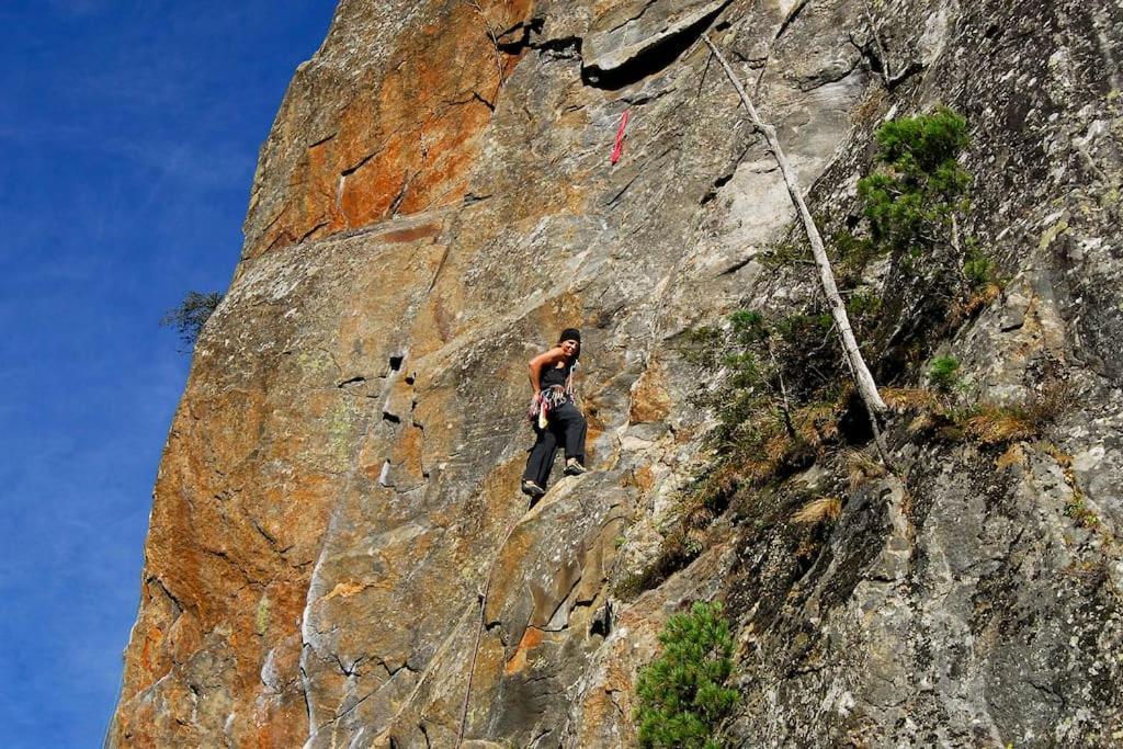 Alpenrose Ramsau im Zillertal Exterior foto